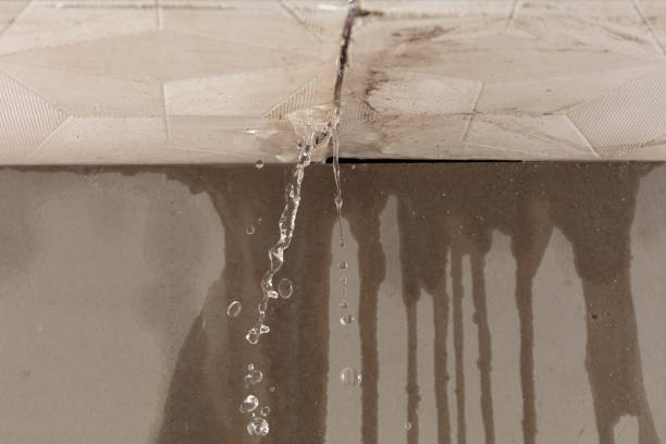 Professional Flood Damage Cleanup technician working in Mount Morris, IL
